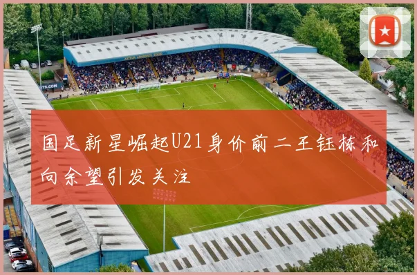 国足新星崛起U21身价前二王钰栋和向余望引发关注
