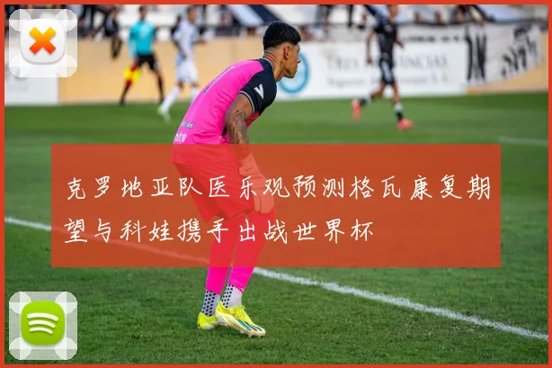 克罗地亚队医乐观预测格瓦康复期望与科娃携手出战世界杯