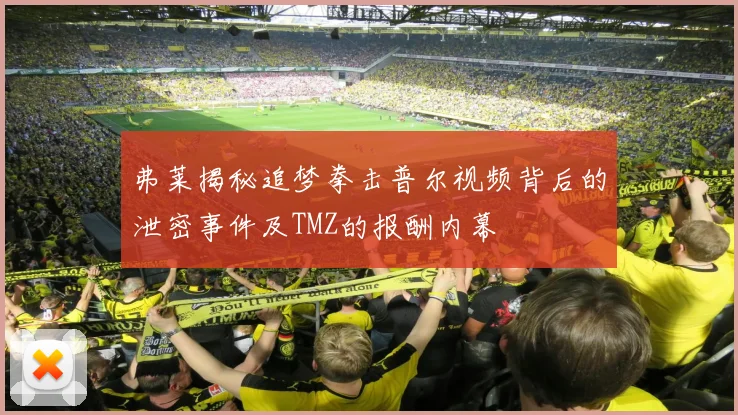 弗莱揭秘追梦拳击普尔视频背后的泄密事件及TMZ的报酬内幕