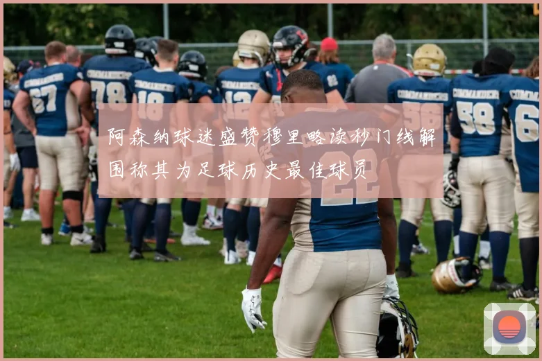 阿森纳球迷盛赞穆里略读秒门线解围称其为足球历史最佳球员