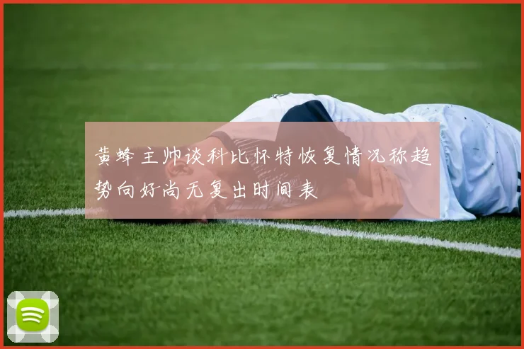 黄蜂主帅谈科比怀特恢复情况称趋势向好尚无复出时间表