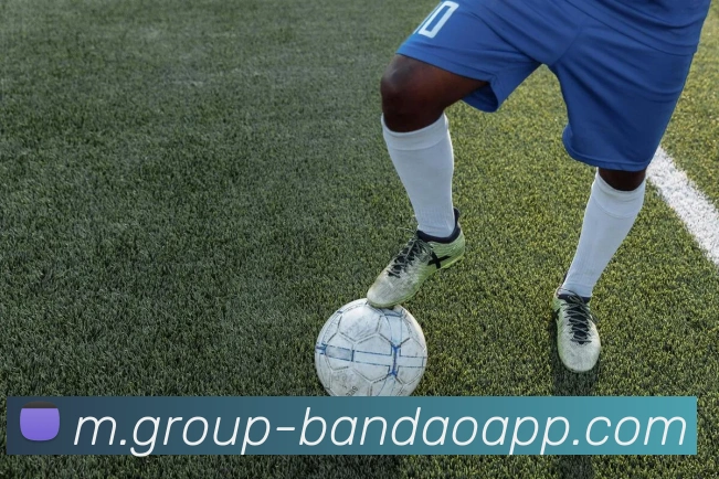 半岛体育服务体系