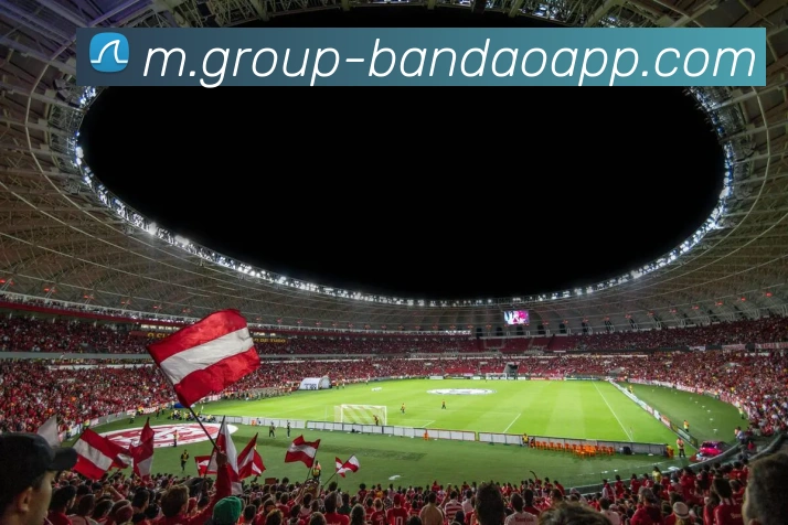 半岛体育APP 体育赛事宣传图